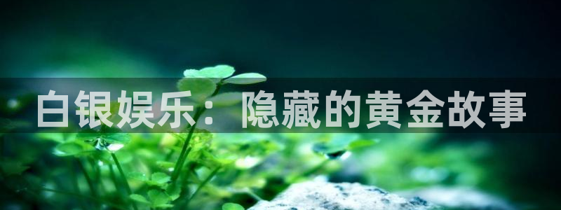蓝狮娱乐官网在线登录：白银娱乐：隐藏的黄金故事