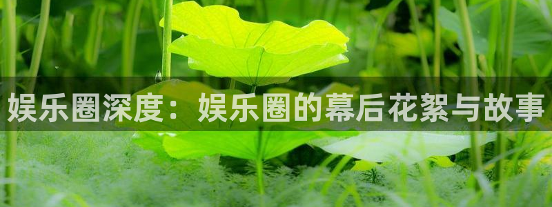 蓝狮在线平台：娱乐圈深度：娱乐圈的幕后花絮与故事