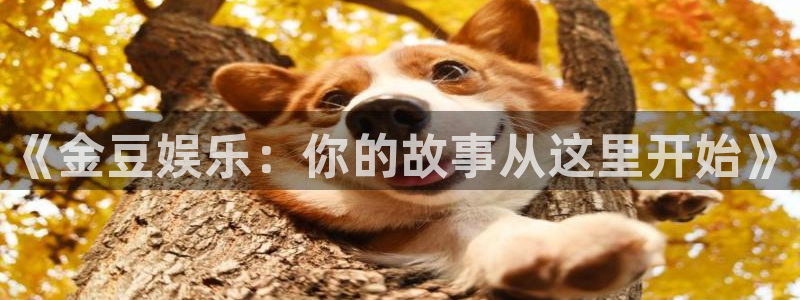蓝狮在线开户：《金豆娱乐：你的故事从这里开始》